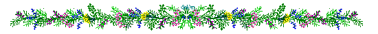 flrlines2.gif