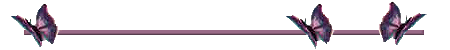 purplebutterflyline.gif